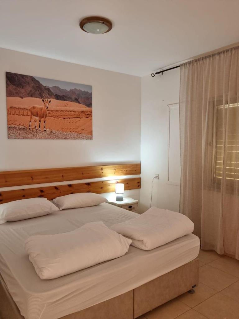 Elifaz Desert Experience Holiday Exteriér fotografie